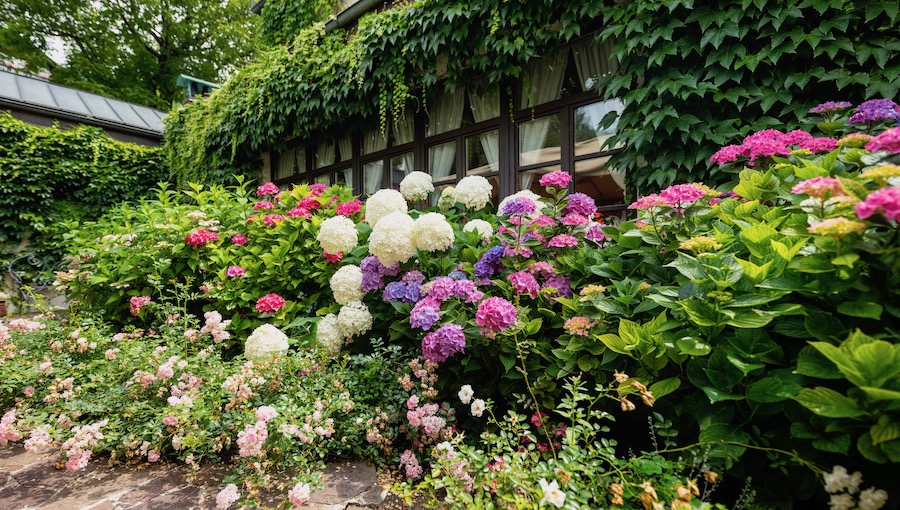 Kendov-dvorec-garden-09