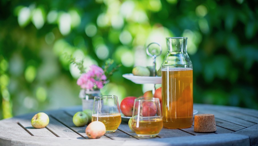 kendov-dvorec-garden-11